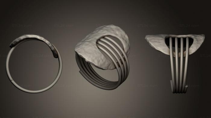 Ювелирные перстни и кольца (Кольцо 123, JVLRP_0224) 3D модель для ЧПУ станка